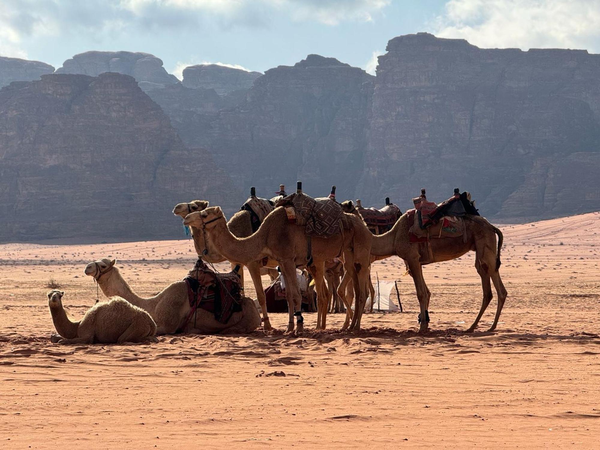 Sunrise Luxury Camp Hotell Wadi Rum Eksteriør bilde